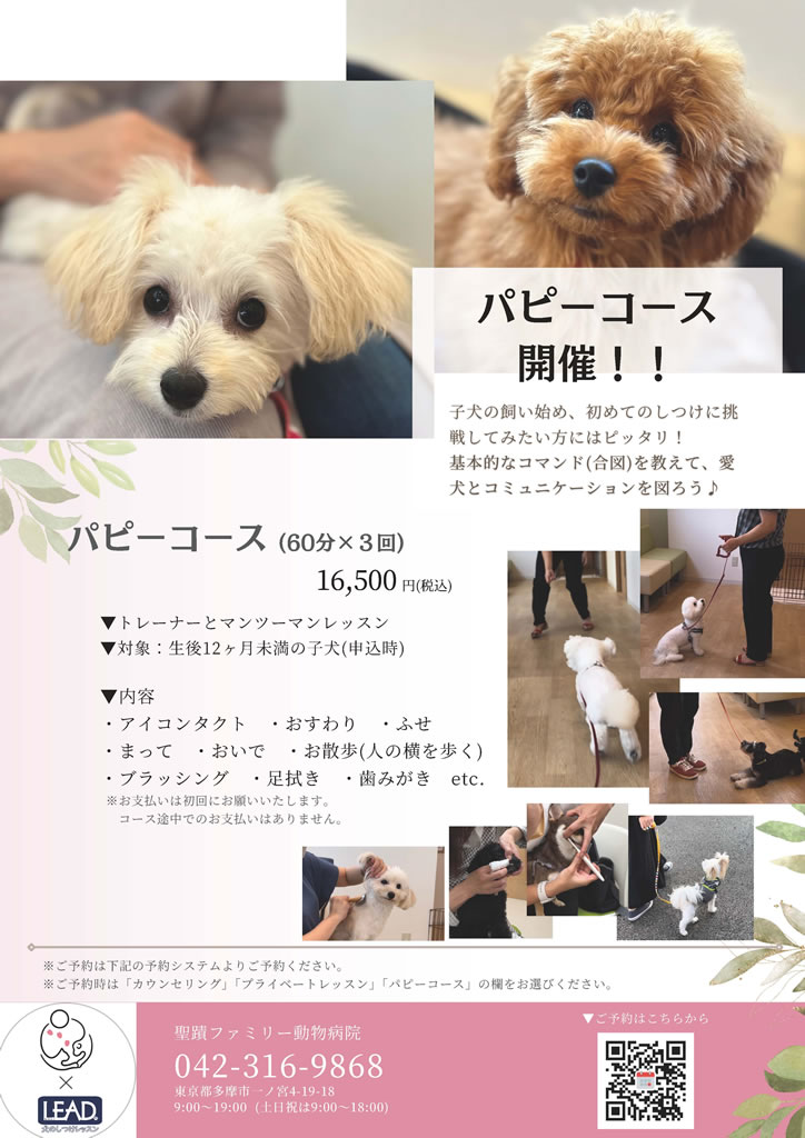 パピーコース