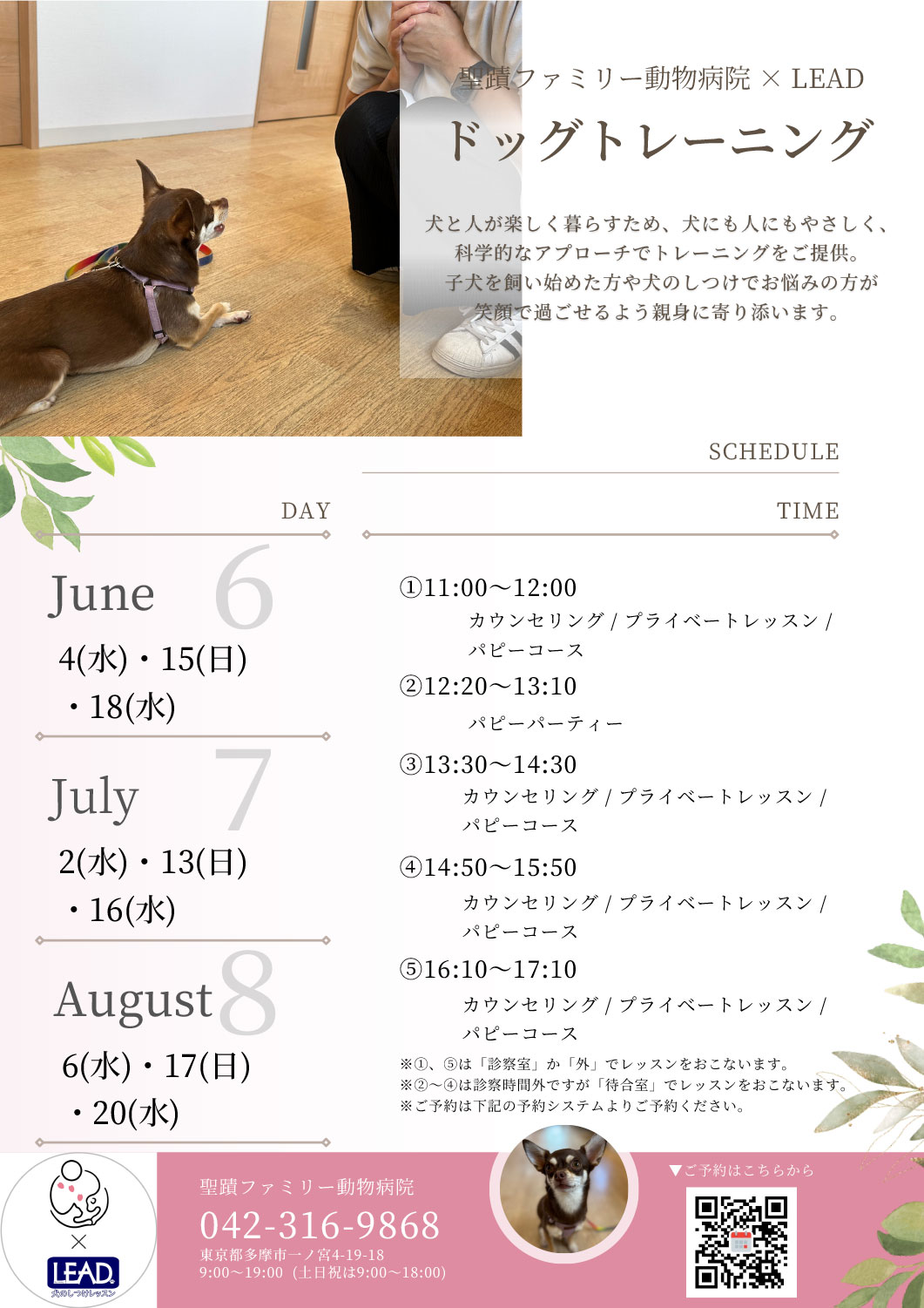 ドッグトレーニングスケジュール