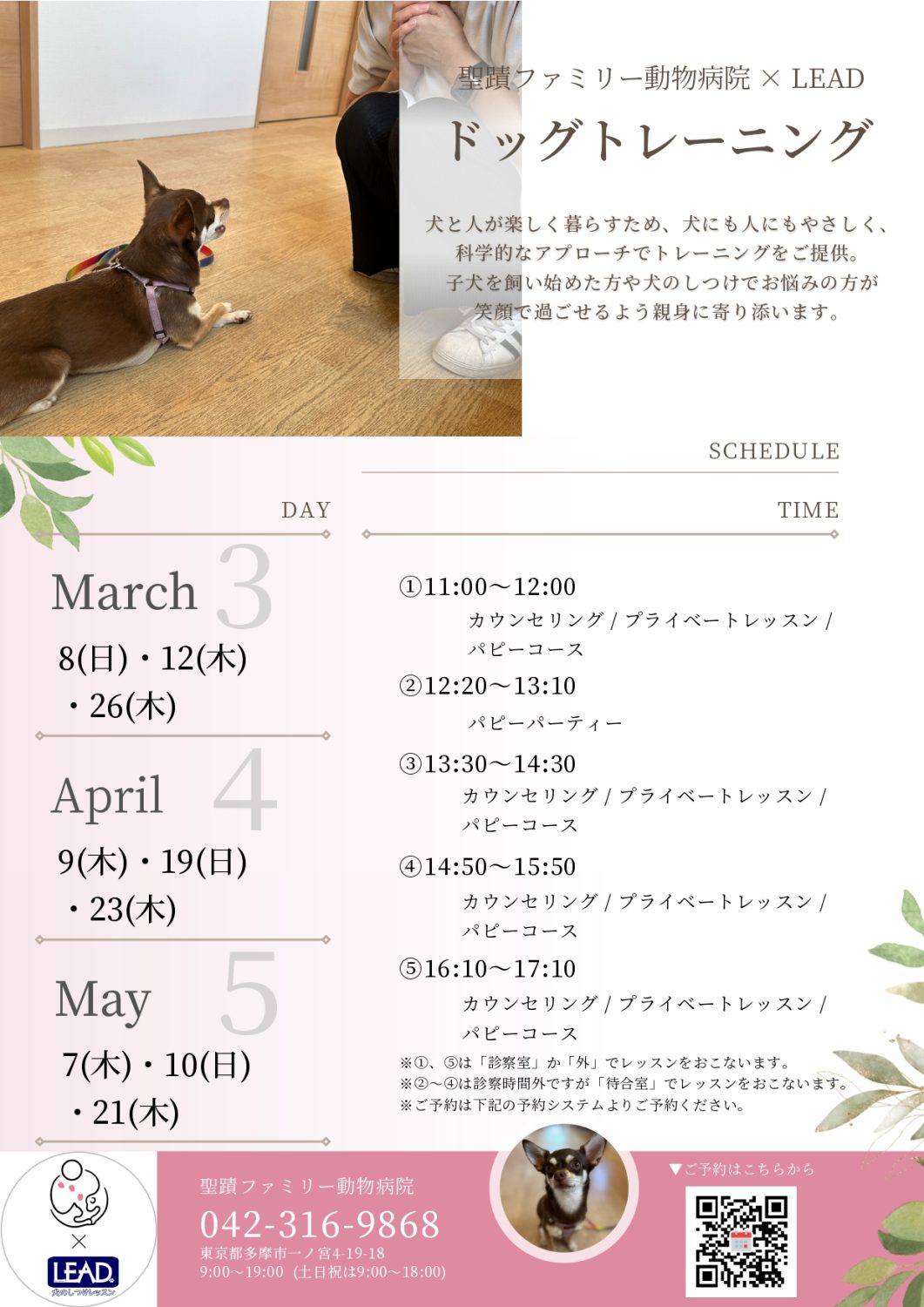 ドッグトレーニングスケジュール